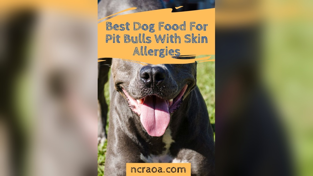 Best Dog Food for Pitbull With Allergies