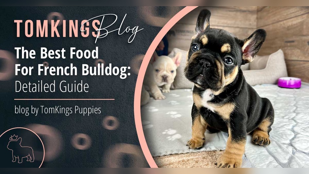 Best Dog Food for Puppy French Bulldog
