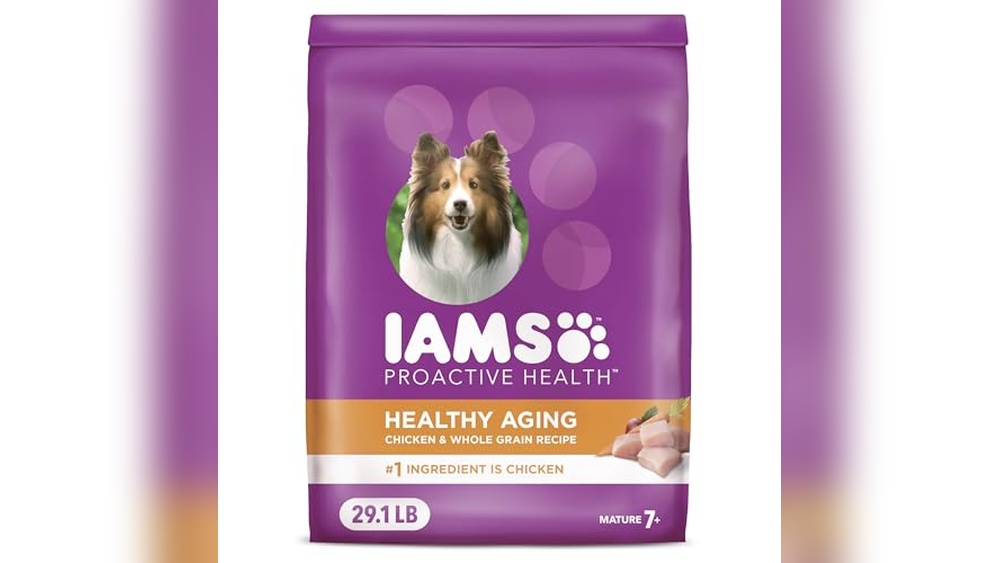 Best Dog Food for Senior Overweight Dogs