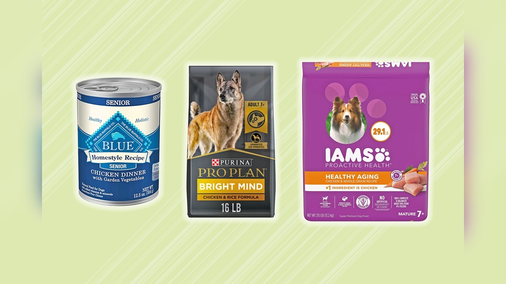 Best Dog Food for Senior Overweight Dogs