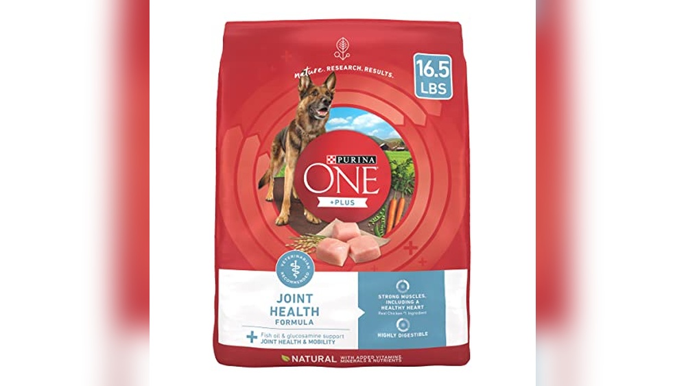 Best Dog Food for Seniors With Arthritis