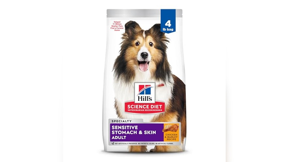 Best Dog Food for Sensitive Stomach And Allergies