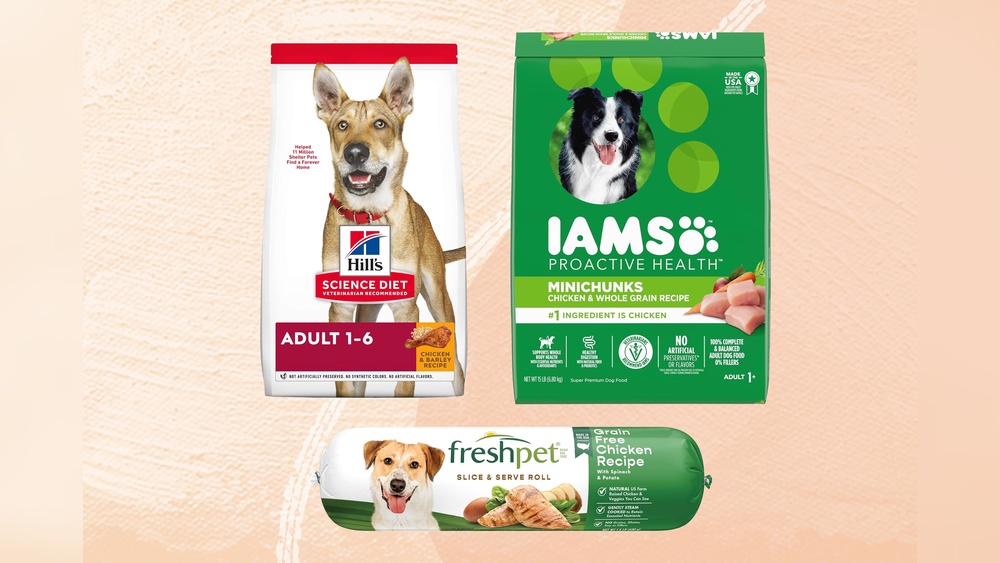 Best Dog Food for Small Dogs at Walmart