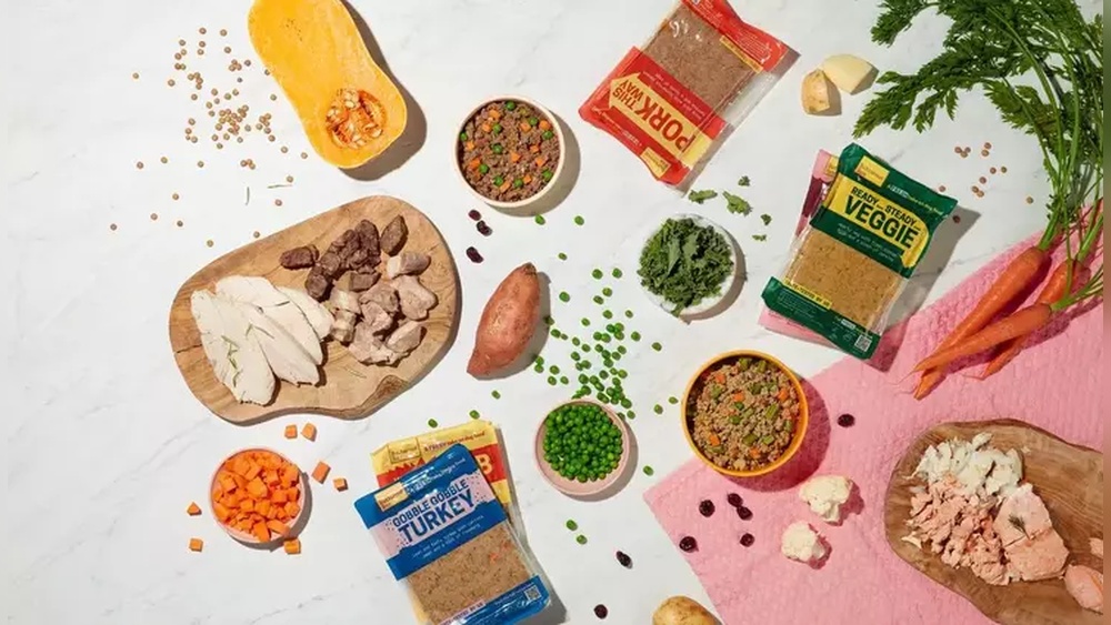 Best Dog Food for Smelly Farts