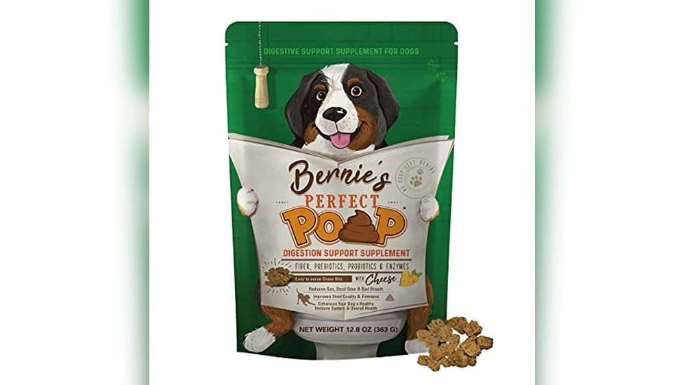 Best Dog Food for Solid Poop