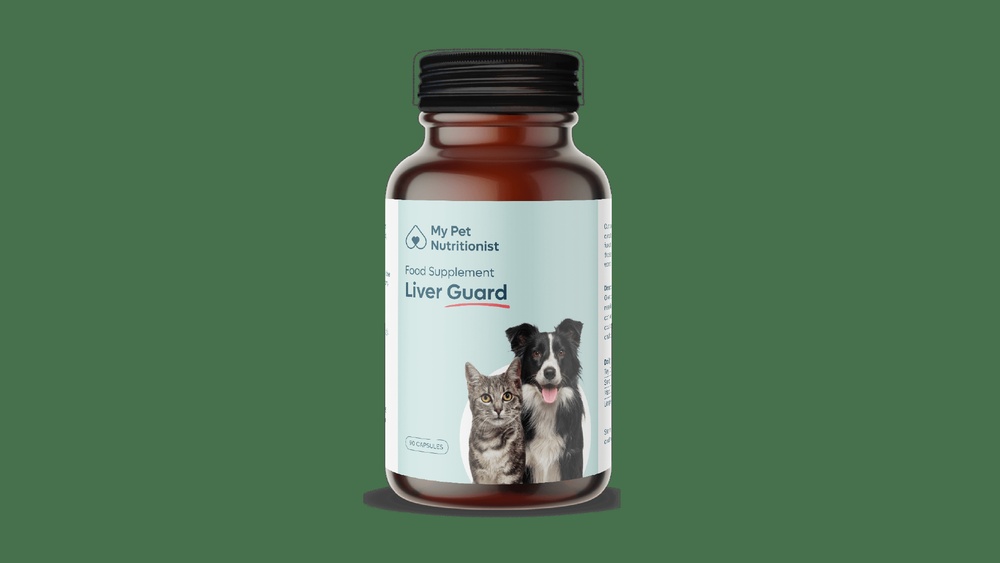 Best Dog Food for Struvite Crystals in Dogs