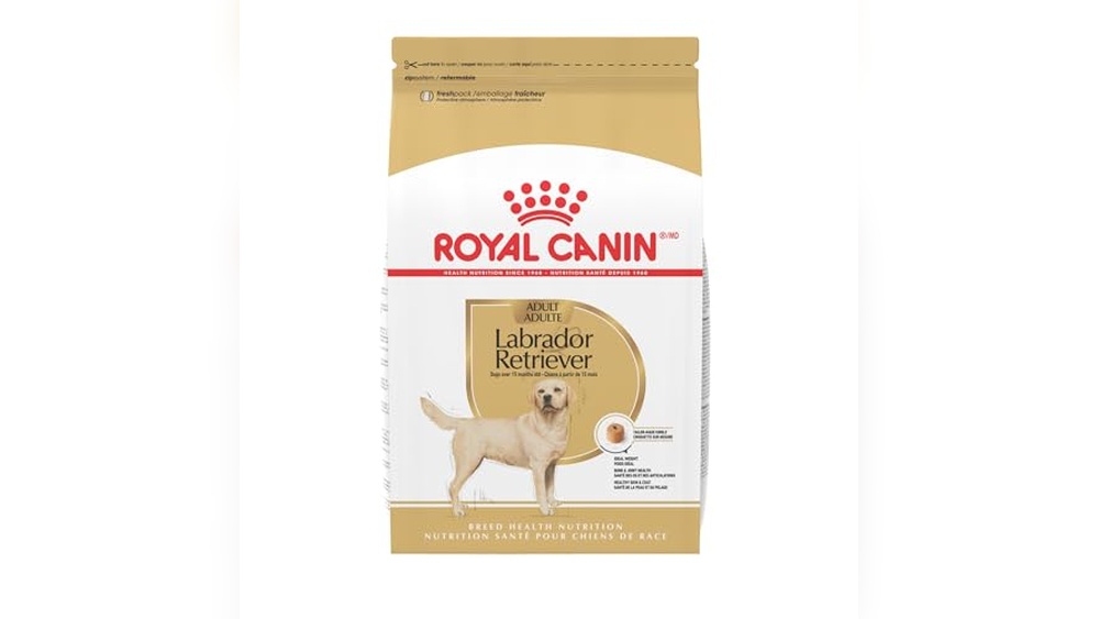 Best Dog Food for Yellow Labs