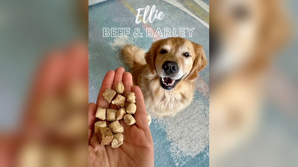 Best Dog Food Golden Retrievers