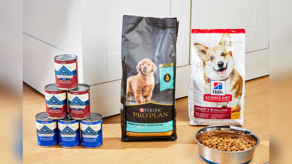 Best Dog Food High in Omega-3 And 6