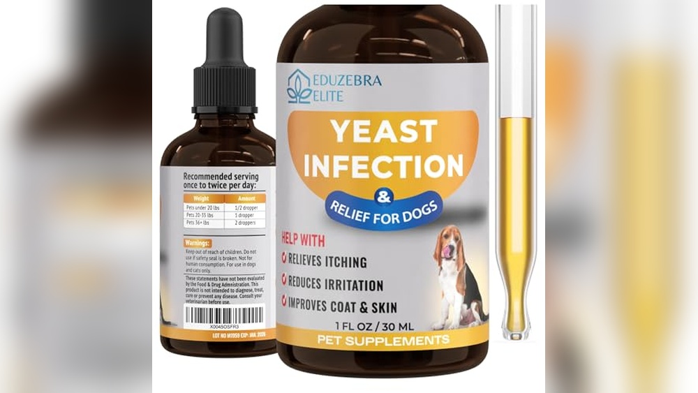 Best Dog Food to Prevent Yeast Infections