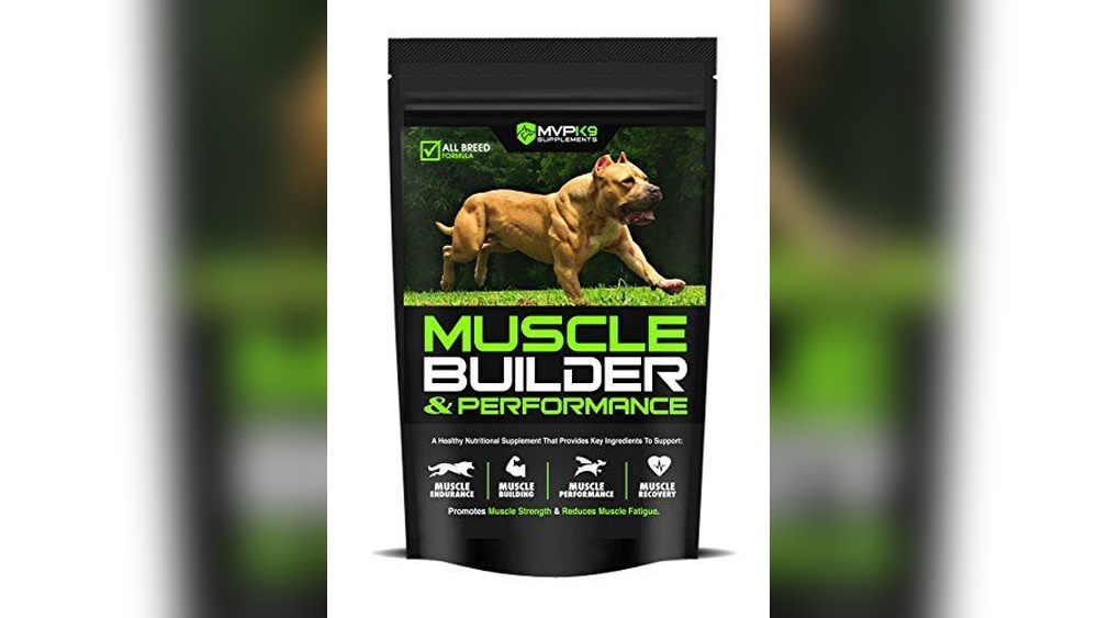 Best Dog Food to Put Weight on Pit Bulls