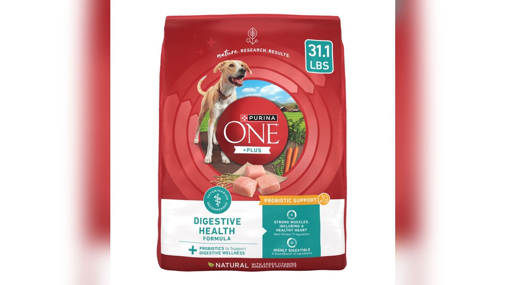 Best Dog Foods for Sensitive Stomach