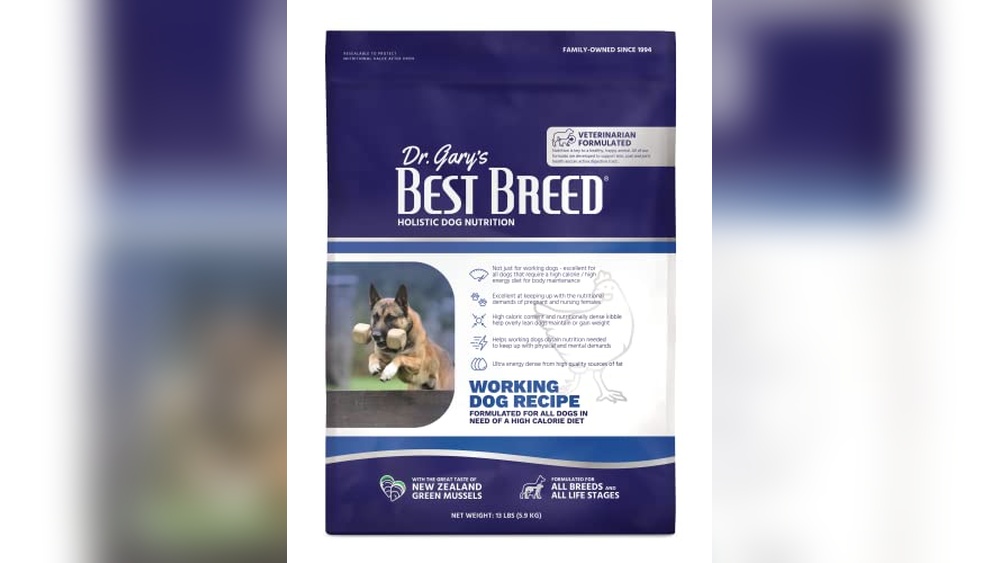 Best Dog for Working Person