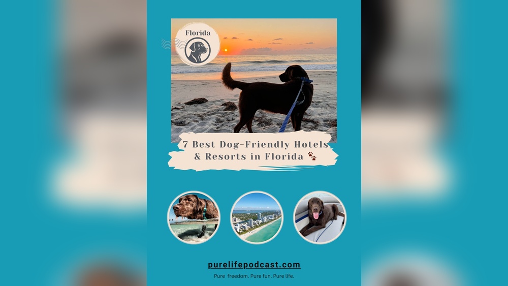 Best Dog Friendly Resorts in Florida