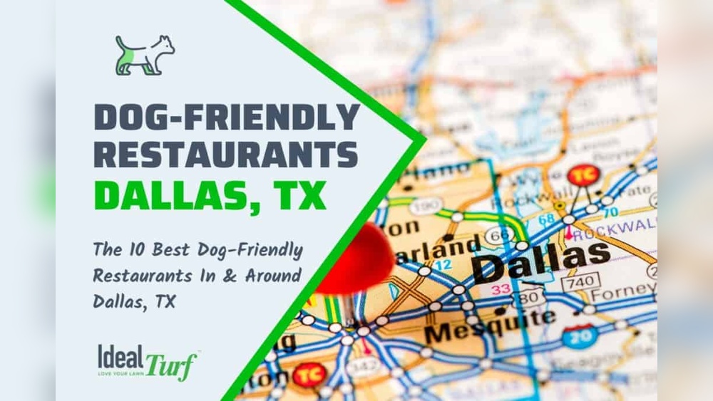 Best Dog Friendly Restaurants Dallas