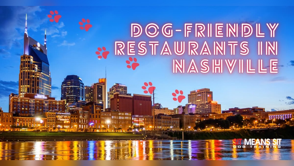 Best Dog Friendly Restaurants Nashville