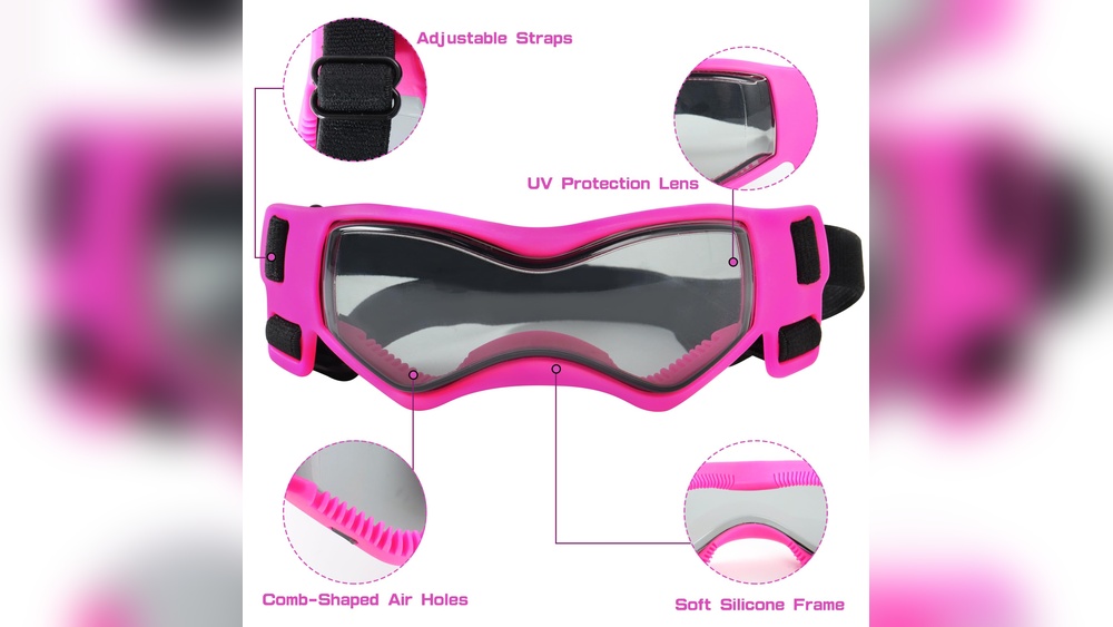 Best Dog Goggles for Small Dogs