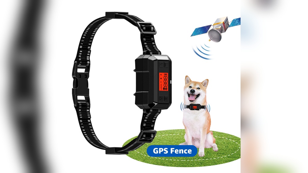 Best Dog Gps Shock Collar