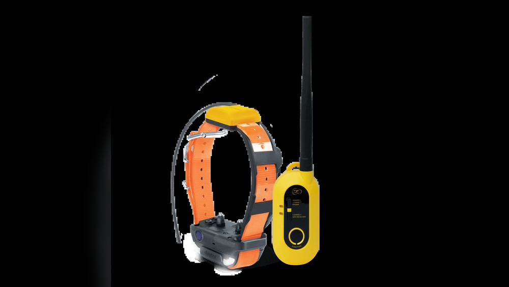 Best Dog Gps Training Collar