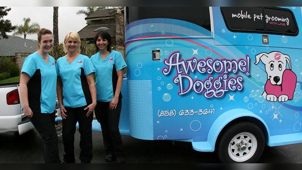 Best Dog Groomer in Hyderabad