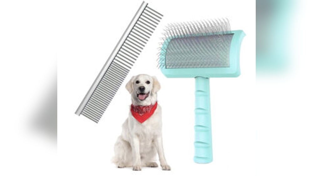 Best Dog Grooming Brush for Golden Retriever