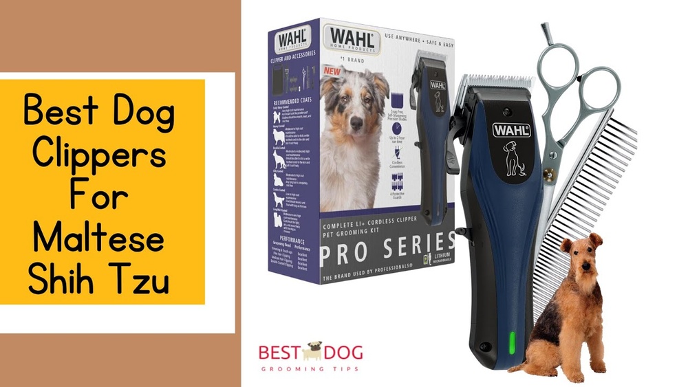 Best Dog Grooming Kit for Shih Tzu