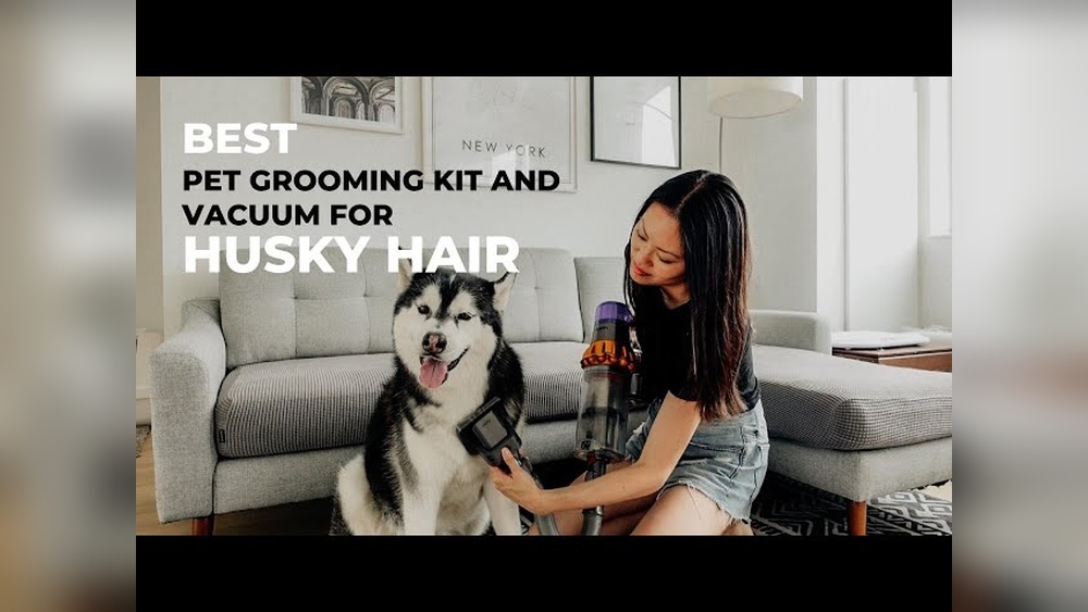 Best Dog Grooming Vacuum for Husky