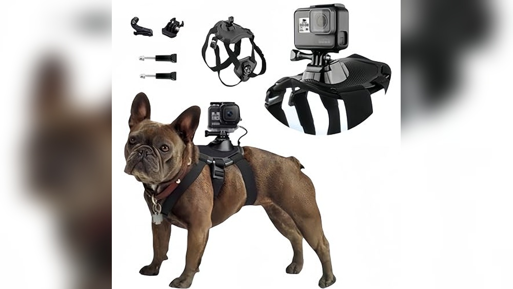 Best Dog Harness for Gopro