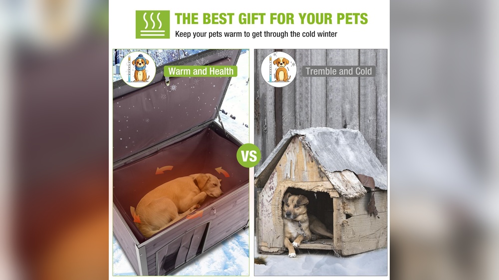 Best Dog Houses for Winter