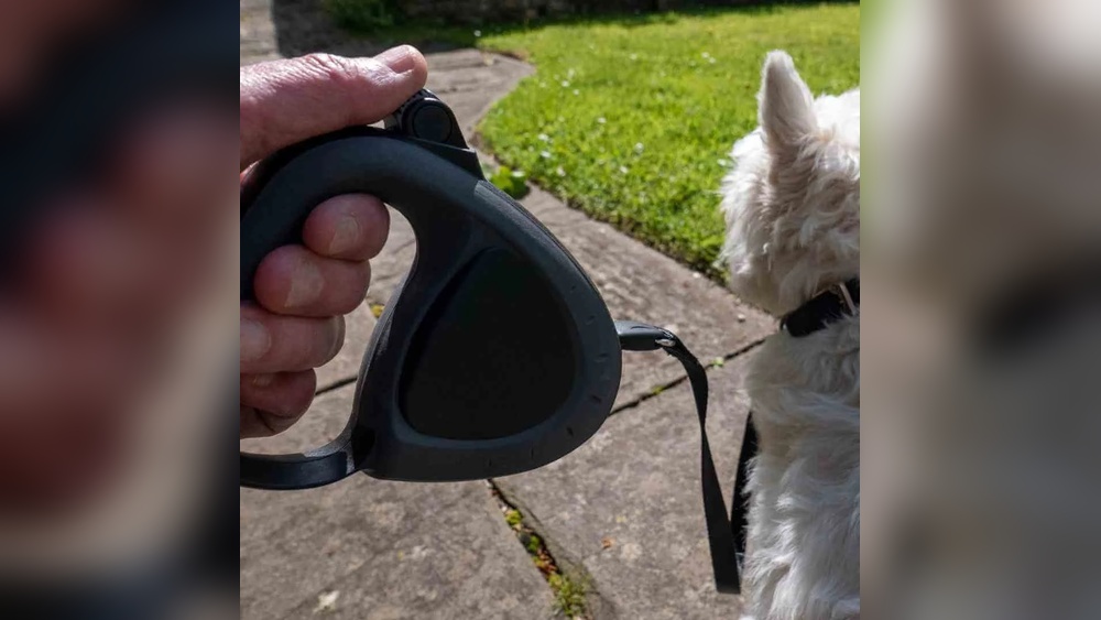 Best Dog Leashes for Pulling