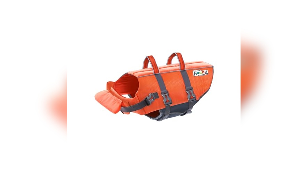 Best Dog Life Jacket for Pitbull