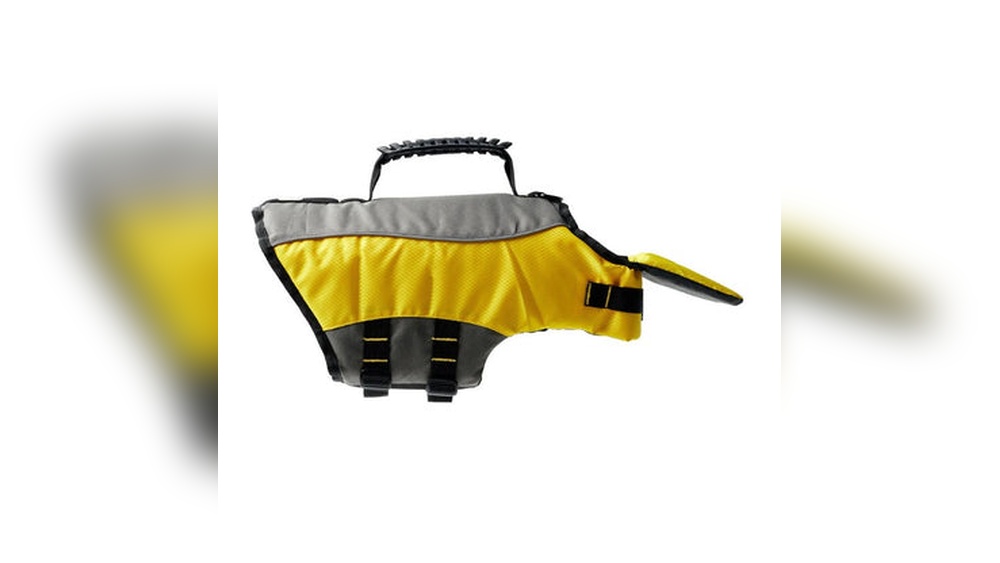 Best Dog Life Jacket for Pitbull