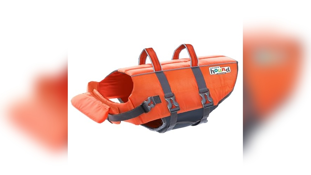 Best Dog Life Jackets for Boating