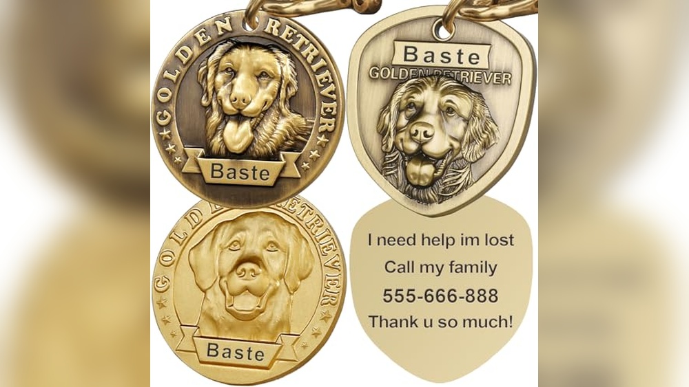 Best Dog Names Male Golden Retriever