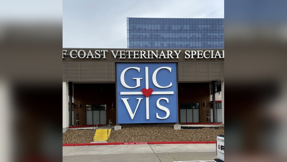 Best Dog Oncologist near Me