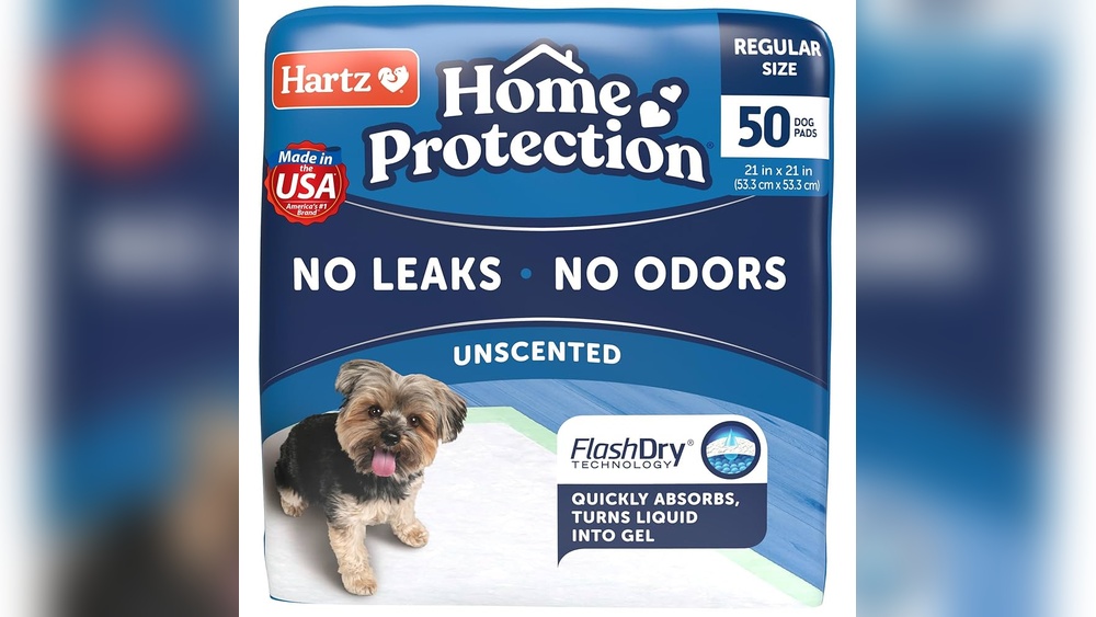 Best Dog Pads That Don'T Leak