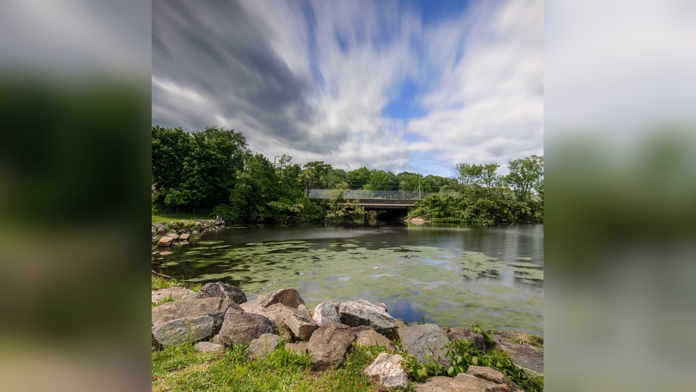 Best Dog Parks in Ct