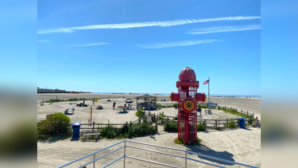 Best Dog Parks in Nj