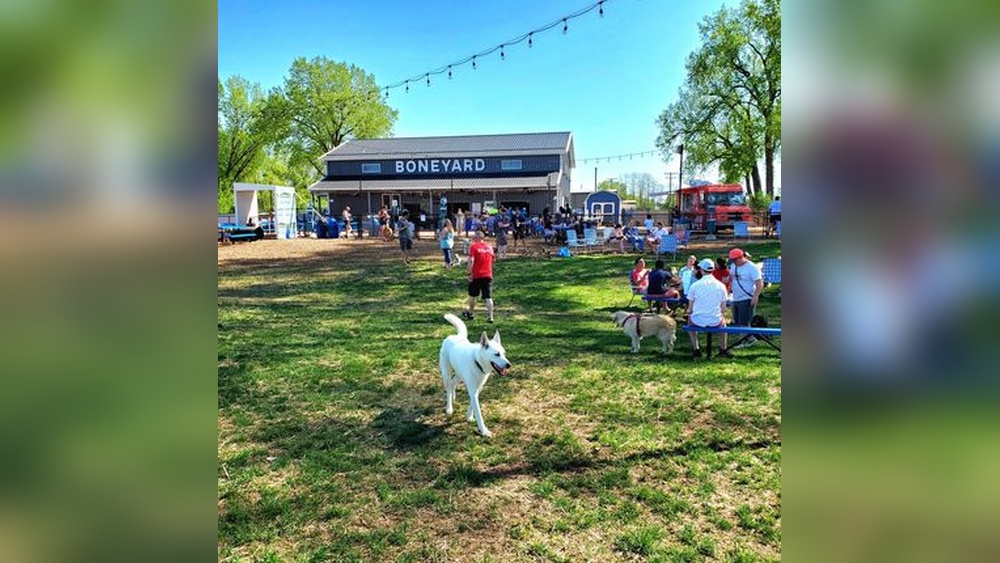 Best Dog Parks in Wisconsin