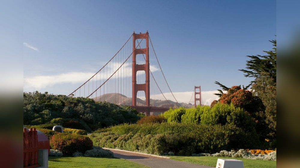 Best Dog Parks San Francisco