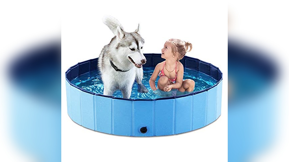 Best Dog Pool for Large Dogs