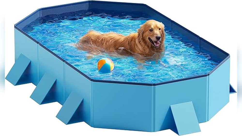 Best Dog Pool for Large Dogs