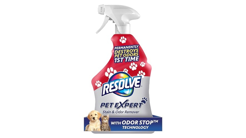 Best Dog Poop Stain Remover from Carpet