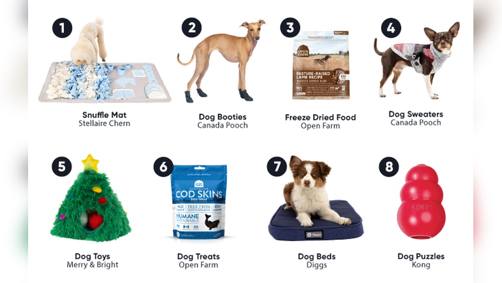 Best Dog Presents for Christmas