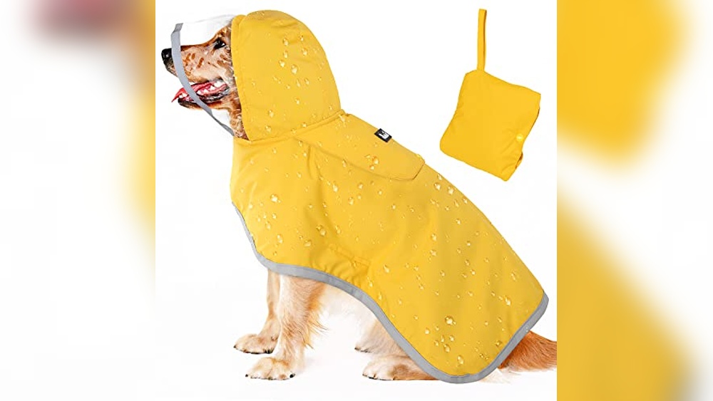 Best Dog Raincoat With Harness Hole
