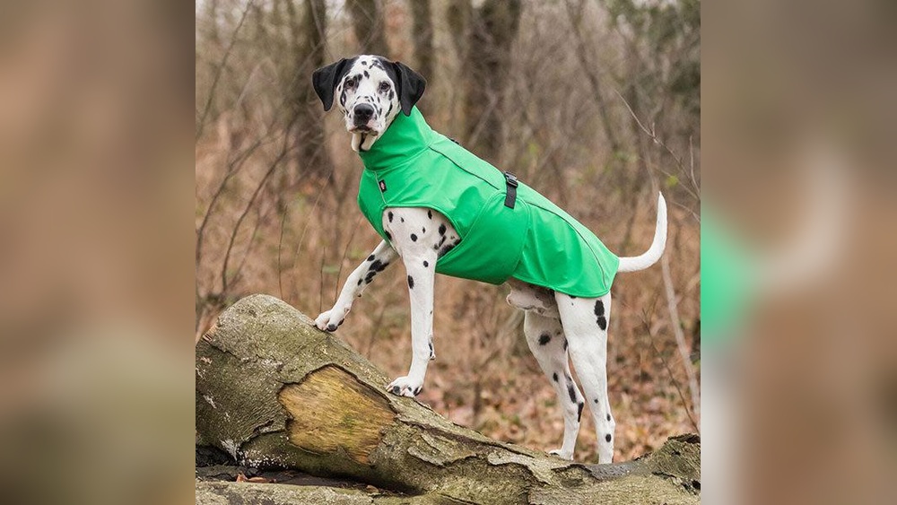 Best Dog Raincoat With Harness Hole