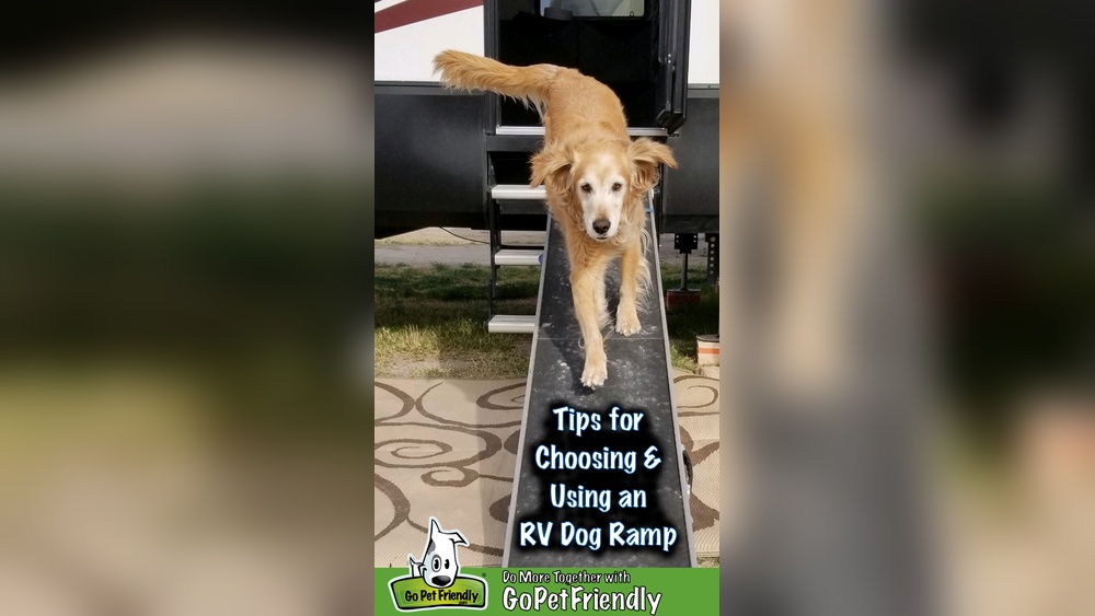 Best Dog Ramp for Motorhome: Ultimate Comfort & Safety Guide