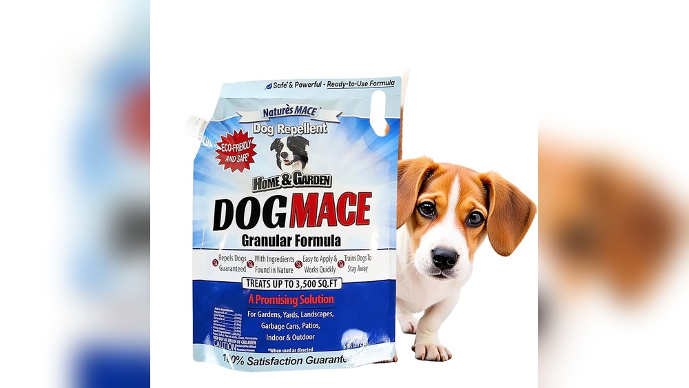 Best Dog Repellent for Grass