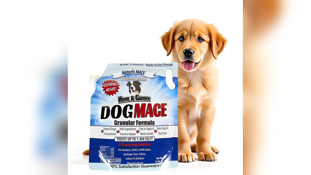 Best Dog Repellent for Lawn