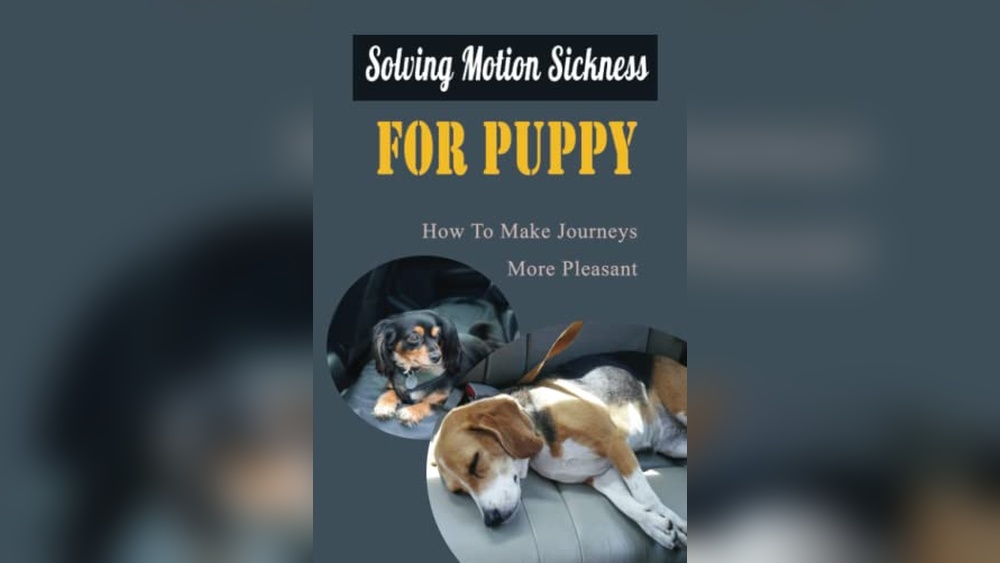 Best Dog Sedative for Travel